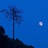 明月夜