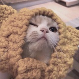 立早早呀