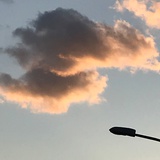鲍浩然