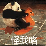达西西
