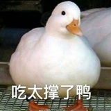 要开心鸭