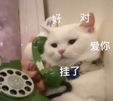 鹤书