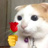 loving u