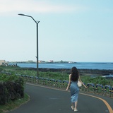 鱼游沧海深