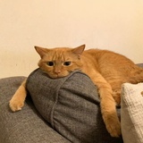 深蓝。
