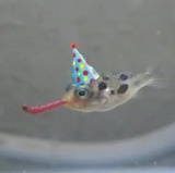 不要乱吃东西