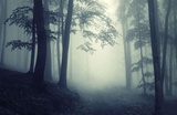 vanishedlake