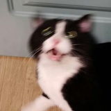 乙木