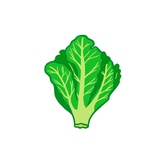野蠻生菜