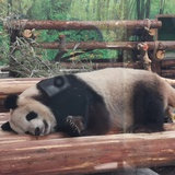 孟里