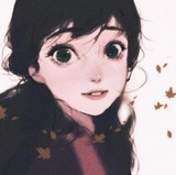 菊草叶