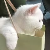 文九