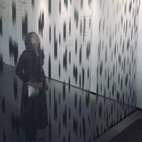 晓菁