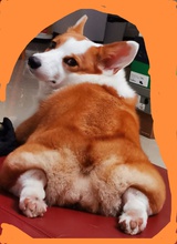 徐睿