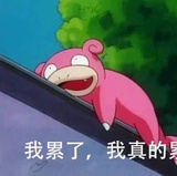 荣誉市民杰尼龟