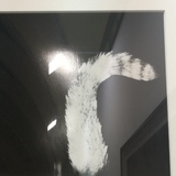 凤喜