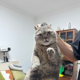 没意思啊