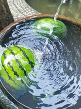 曹玉阶
