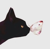 井小猫Molly