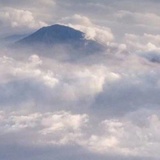 苏苏