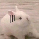 王峰翘