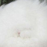 盐