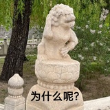 国家级直球选手