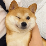今天吃啥呢