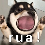 der
