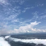 顾孟平
