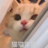 葛蔓蔓