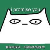 高贵的旋转菠萝