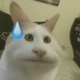 起风了