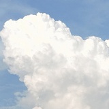 漂浮森林