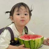 与木木