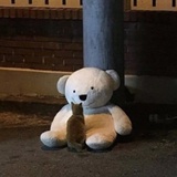 滞壑