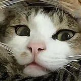 末冬十七