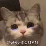 手打牛肉丸