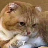 静音肠粉🔇