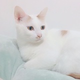 谢宛风