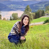 莫白