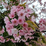 三思