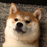 高野