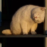满山炊烟