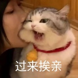 相与绿池