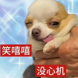 温染星