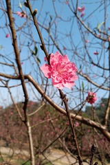 破东