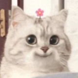灯灯