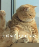 泽无笙