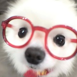诗津
